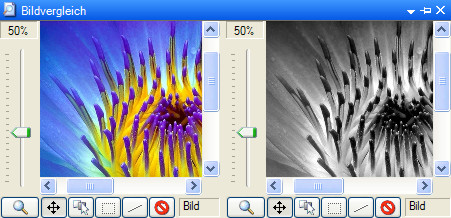 Vergleich von RGB- und Graustufenbild A