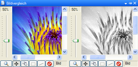 Vergleich von RGB- und Graustufenbild B